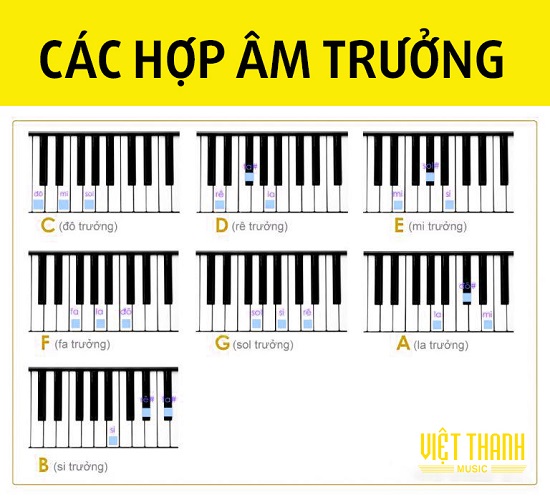 cac hop am truong piano