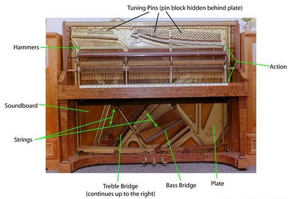 cấu tạo đàn upright piano