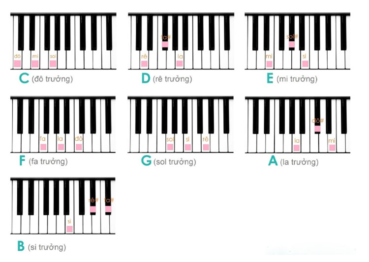 hop am truong tren dam piano