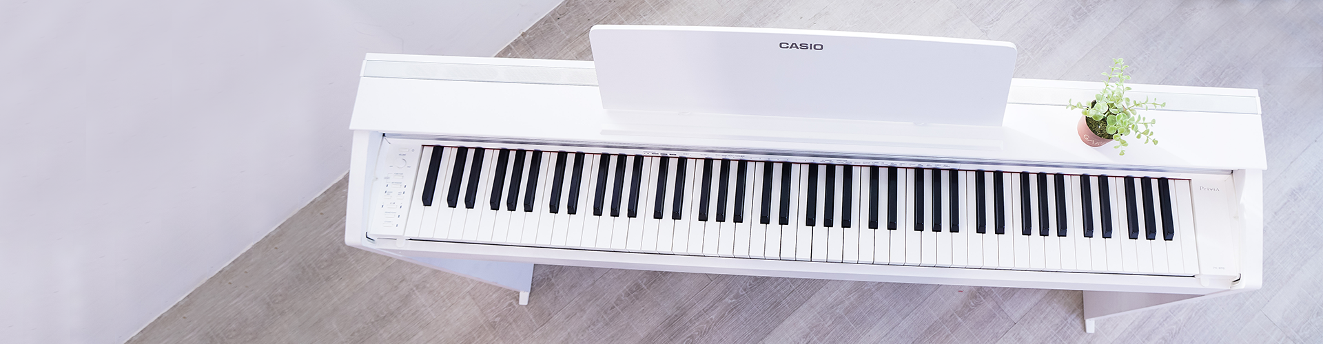 Organ/Keyboard