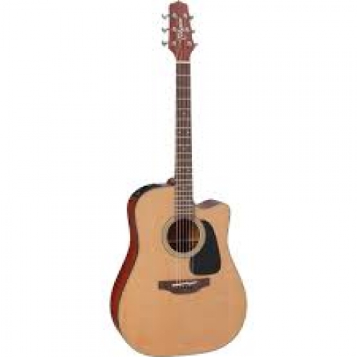 Takamine P1DC