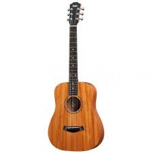 Taylor BT2