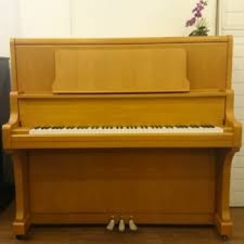 Kawai BL-71 MÃ u Gá»—