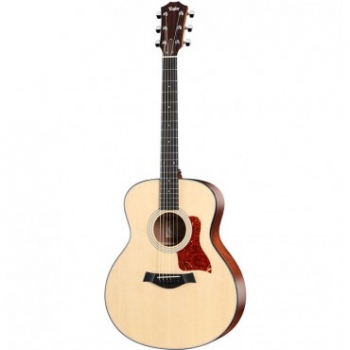 Taylor 316