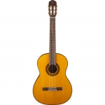 Takamine GC5 NAT