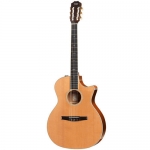 Taylor 514CE-N