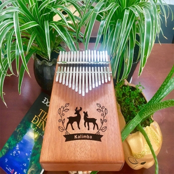 Đàn Kalimba A-17C