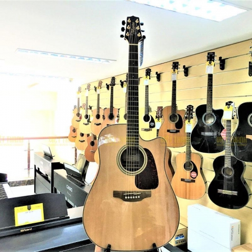 Takamine GD93 CE Nat