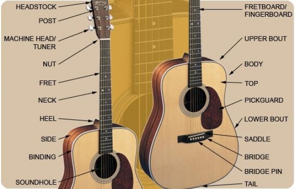Cấu tạo đàn guitar