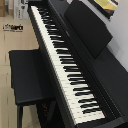 Roland RP-102