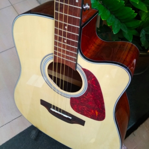 Takamine GD15CE-NAT