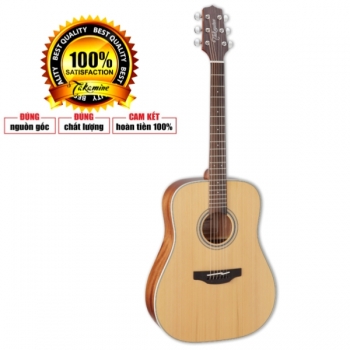 Takamine GD20 NS