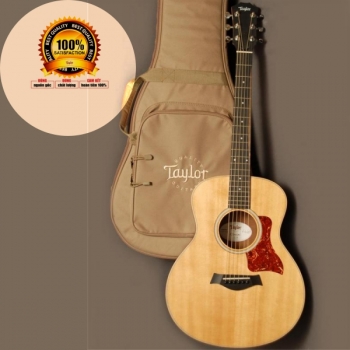 Taylor GS Mini