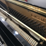 Kawai BL-31