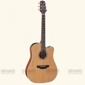 Takamine GD20CE NS