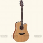 Takamine GD20CE NS