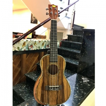 Ukulele Mẫu 1