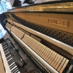 KAWAI KU3