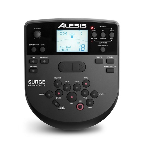 module trong dien alesis surge mesh kit