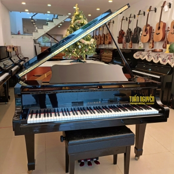GRAND PIANO KAISER G530