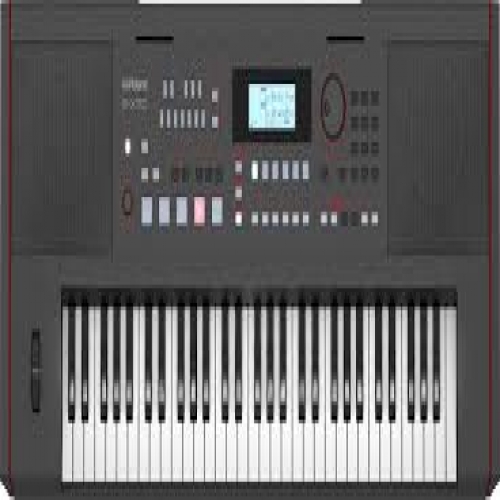 dan organ roland e x10 de dang hoc tap