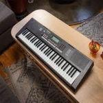 dan organ roland e x10 chinh hang